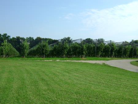 Kmetija Žižek – Fortner 5